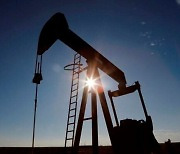 OPEC+, 2월에도 증산 유지 결정.."오미크론, 원유수요 영향 미미"