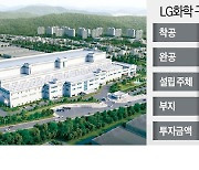 [단독] LG화학, 화유코발트와 국내최대 양극재 공장