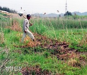 예전엔 산의 나무 베고 농작물 심었지만, 이젠 농경지에 나무 심는다