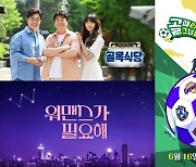 조작 논란→종영에 주춤 SBS 예능, 돌파구 찾을까[TV와치]