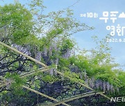 '초여름의 낭만'..제10회 무주산골영화제 6월 2일 개막 확정