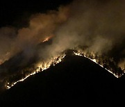 국립산림과학원 "올해 1월 산불 위험성,평년보다 높아"