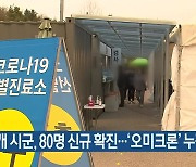 강원 11개 시군, 80명 신규 확진..'오미크론' 누적 92명