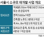 서울 역세권·준공업 지역 '소규모 재개발' 도입한다