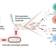 장내미생물 이용한 新 COVID-19 경구형 백신기술 개발