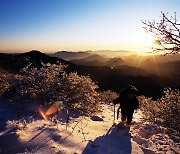 [일출산행 태백산] 호랑이 기운을 받는 민족의 영산