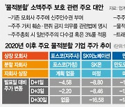 "트래킹 스톡·주식매수 청구권"..쏟아진 '물적분할' 대안들