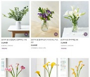 새벽배송 꽃 판매로 화훼농가와 상생 '마켓컬리' 장관상 표창