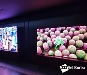 [CES 2022] 삼성·LG, 프리미엄 TV '앞으로'..신개념 디스플레이 도입