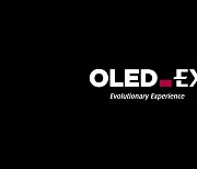 OLED TV 초고화질 전쟁 점화.. 삼성 QD vs LG EX