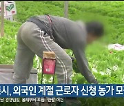 강릉시, 외국인 계절 근로자 신청 농가 모집
