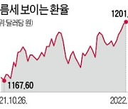 치솟는 원·달러 환율, 1250원 가나