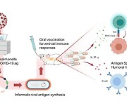 Korea develops oral bacteria-based vaccine mechanism vs Covid-19