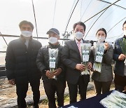 뿌리는 양파·줄기는 대파..용인서 첫 친환경농법 '양대파' 출시