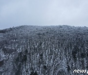 오대산국립공원 내 사유지 매수..내달 4일까지 신청접수