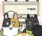 [지디의 네웹툰] 요리하는 고양이와의 멘탈 회복 프로젝트 '애옹식당'