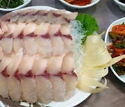 [조용철의 놀면 뭐먹니?]  부드러운 맛과 영양을 간직한 고흥 삼치