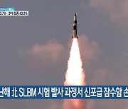 "지난해 北 SLBM 시험 발사 과정서 신포급 잠수함 손상"