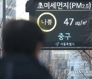 내일 초미세먼지 유입..수도권·충남 올해 첫 비상저감조치