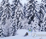 Slovenia Alpine Skiing World Cup