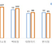 1분기 소매유통업 경기전망 '먹구름'..온라인·백화점만 기대감