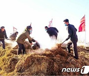 올해 농사 준비로 분주한 북한 농촌
