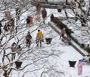 국내 마스크 착용·사회적 거리두기 효과 점점 감소했다