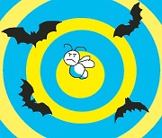 [EcoKnow] 반딧불이가 박쥐를 피하는 방법은?