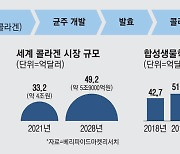 "돼지껍데기, 피부에 양보에 그만"..'꿈의 콜라겐' 개발 나선 한국콜마