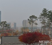 충남 초미세먼지 '관심' 단계 발령..분야별 긴급 저감조치 시행