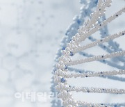 [RNA 전성시대]②RNA 신약 패러다임 전환을 향해..K바이오가 떴다