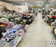 '꽃값 폭등' 한산한 꽃시장