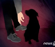 "강아지 탐정이다" SNS 허위글로 4천여만원 가로챈 20대
