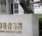 금감원, 26일 온라인 외부감사제도 설명회 개최
