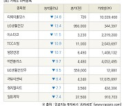 [fnRASSI]장마감, 거래소 하락 종목(티웨이홀딩스 -24.8% ↓)