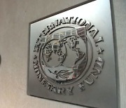 IMF "신흥국, 미 연준의 조기 통화긴축 대비해야"