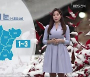 [날씨] 전북 오늘 밤부터 1~5cm 눈·다시 강추위