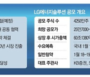 "LG엔솔 12조 실탄마련..中 CATL 추월"