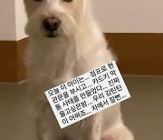 윤승아, 자택 현관문 부순 범인 공개..누리꾼 "귀여워서 봐준다"