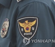 '경찰 직무집행 형사책임 감면' 경직법 개정안 법사위 통과