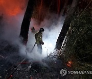 경북 포항 야산에 방화 추정 화재..31분만에 진화