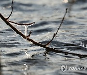 [날씨] 전국 곳곳 새벽에 눈 또는 비..미세먼지 대체로 '보통'