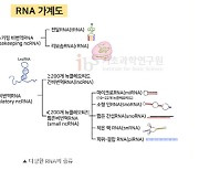 [RNA 전성시대]①글로벌 제약업계는 'RNA' 패권 전쟁 중
