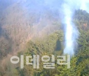 경북 영주 산불 11시간만에 큰 불길 잡아..산림 5㏊ 잿더미