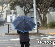 '우산으로 막아보는 눈발'