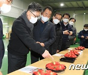 딸기 작황 및 출하 상황 점검하는 김현수 농식품부 장관