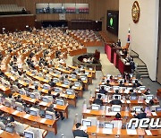 정당법 일부개정안, 국회 본회의 통과