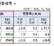 금리인상에 보험사 RBC 비율 6.4%p 하락