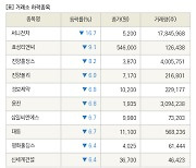 [fnRASSI]장마감, 거래소 하락 종목(써니전자 -16.7% ↓)