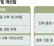 돈벌기는 안되고 옷벗기기 게임은 가능.. 도마 오른 '등급 잣대'